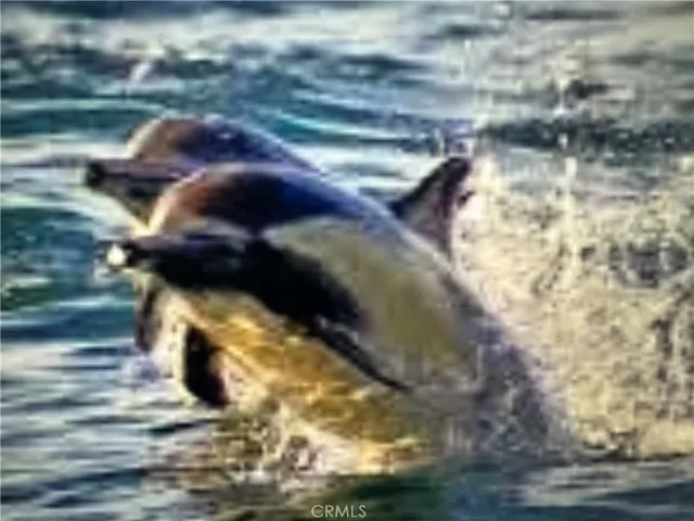a picture of a table and a couch