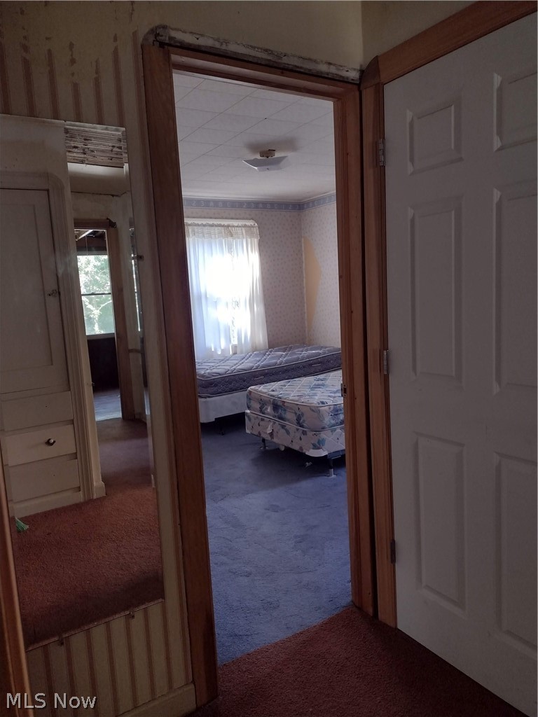 933 Woodview Road Cleveland, OH 44121 - Photo 21 of 34 Gallery Image 21