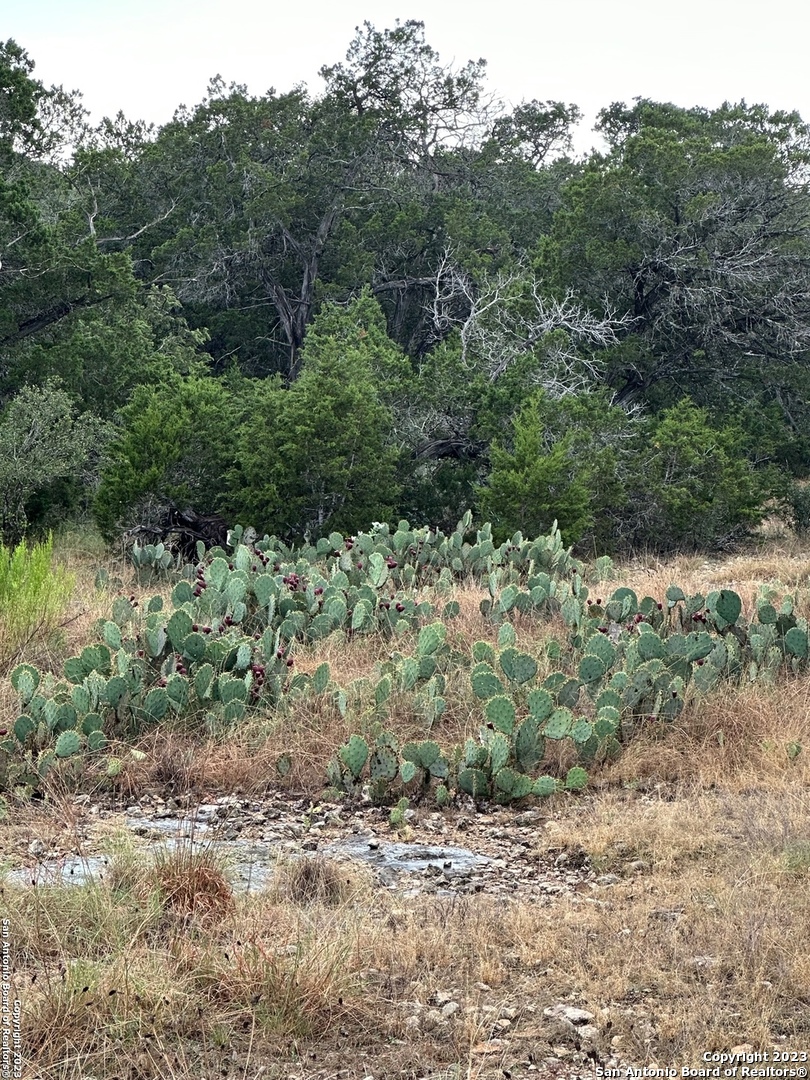 0 Comanche Trail Bandera, TX 78003 - Photo 5 of 8 a view of a large yard with lots of green space