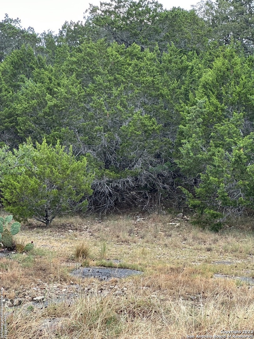 0 Comanche Trail Bandera, TX 78003 - Photo 6 of 8 a view of a yard with trees