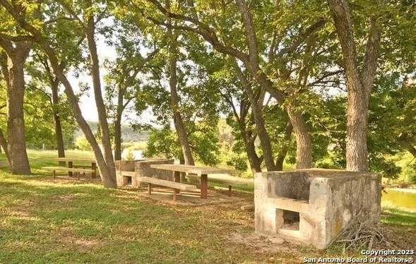 a view of swimming pool with lawn chairs and large trees