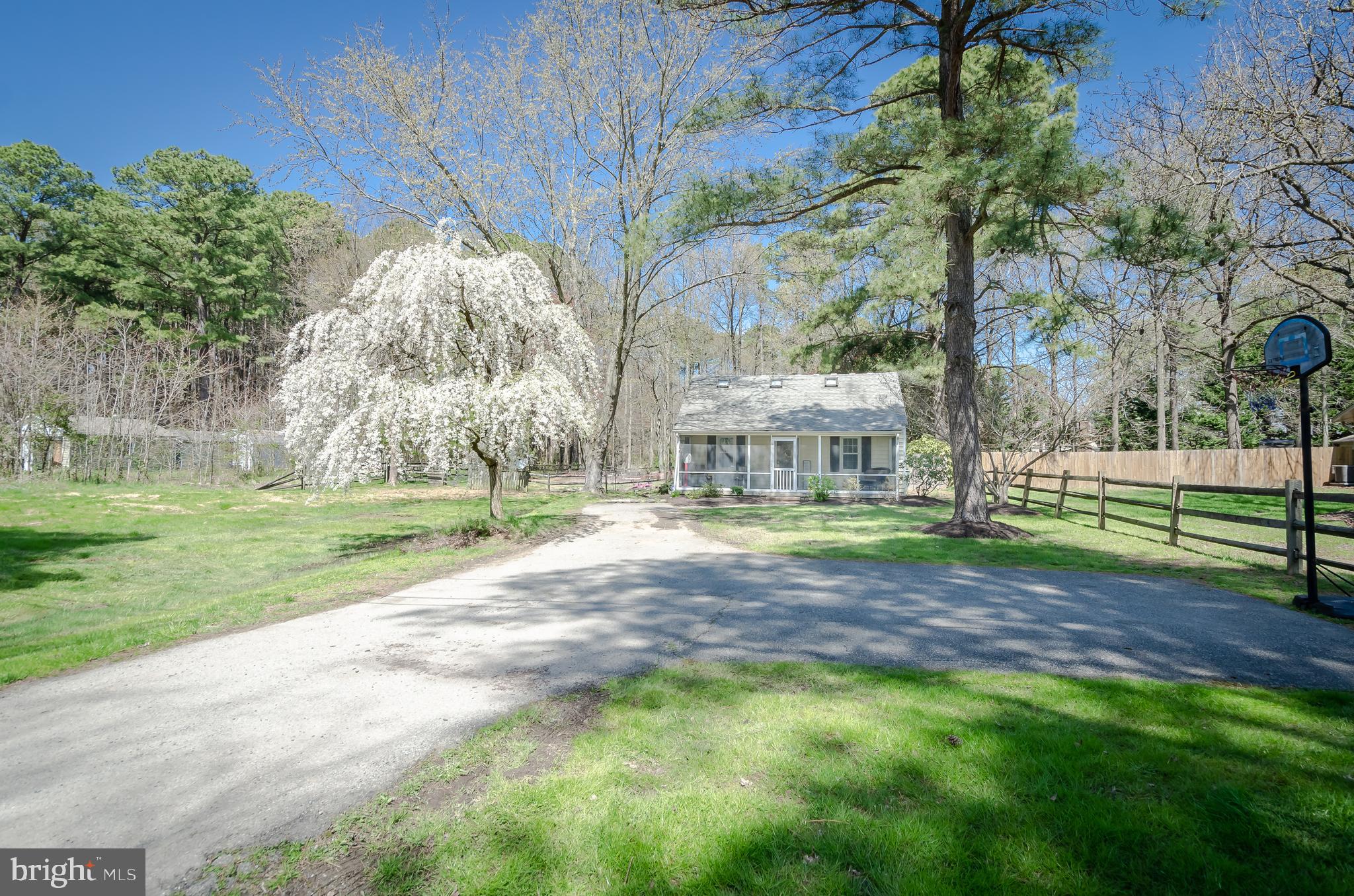 137 Worcester Road Stevensville, MD 21666 - Photo 4 of 53 Extra long driveway