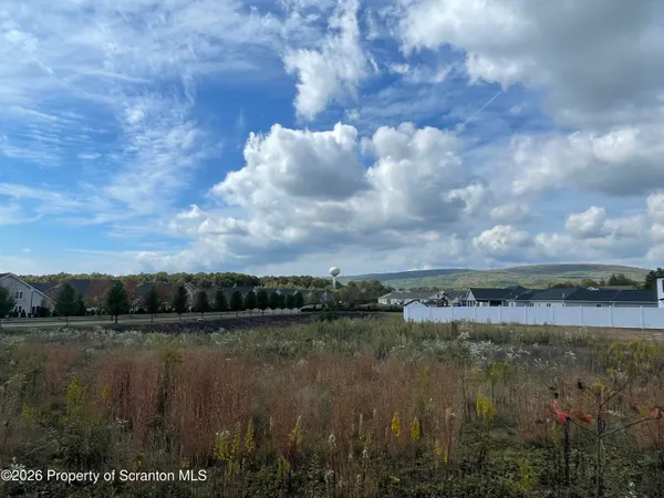 a view of a lake from a yard
