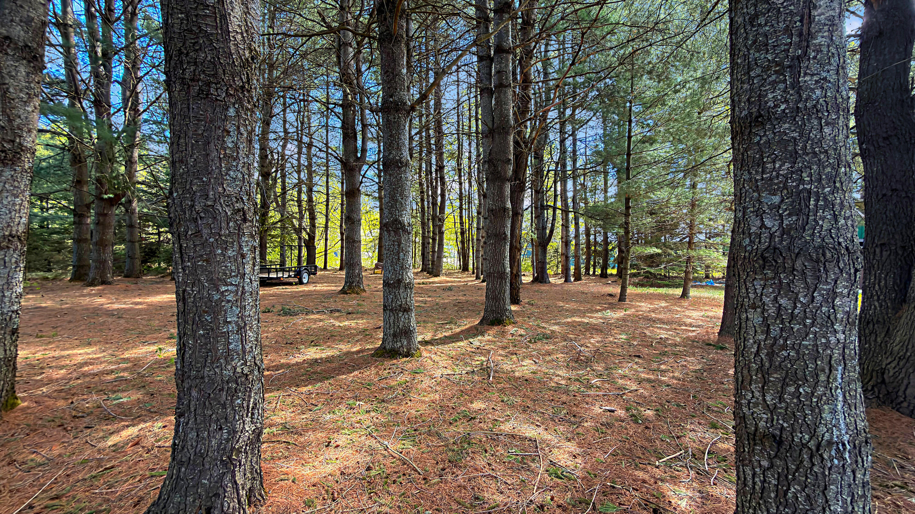 49 Hughes Road Mapleton, ME 04757 - Photo 6 of 53 IMG_2409