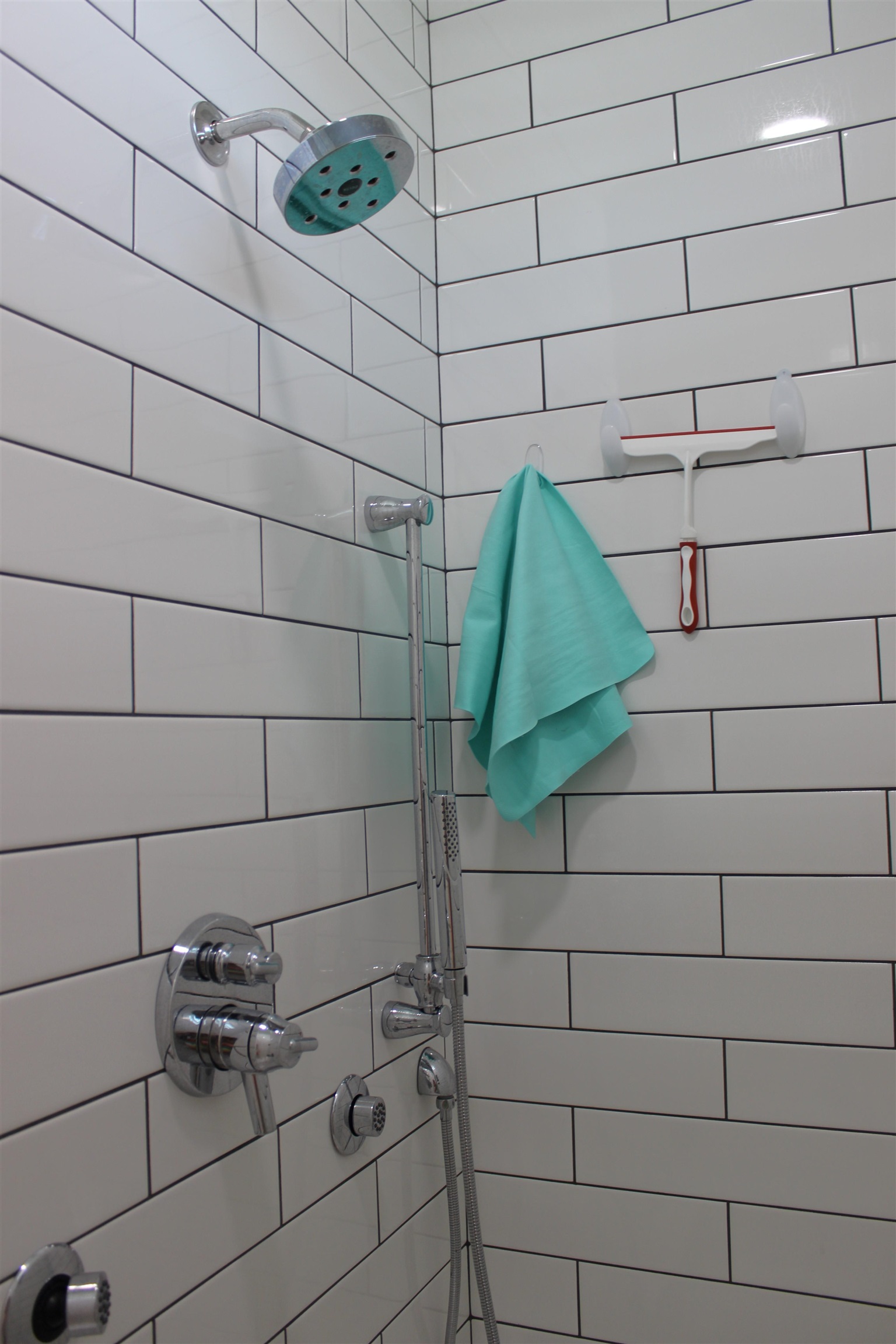 28116 Migratory Way, Unit LOT 105 Elberta, AL 36530 - Photo 38 of 75 Master bath shower