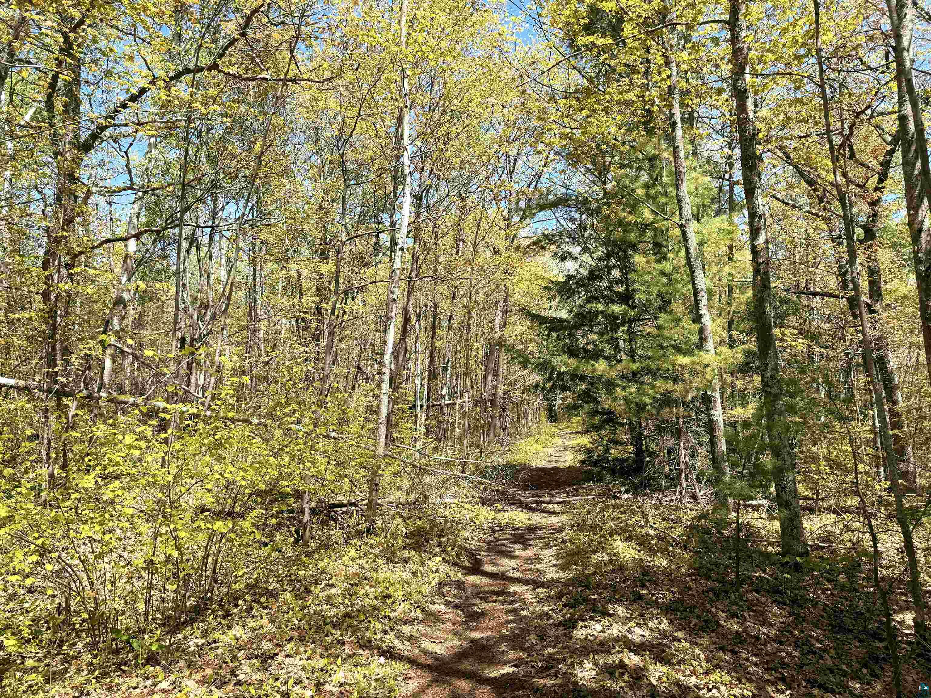 Lot 5 Blue Wing Bay Road Bayfield, WI 54814 - Photo 8 of 11