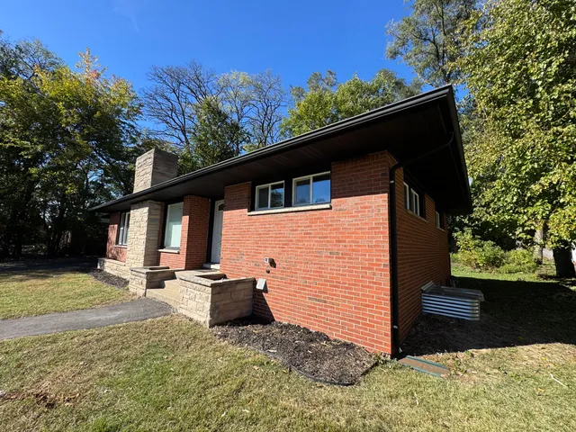 a view of a beach with a tree