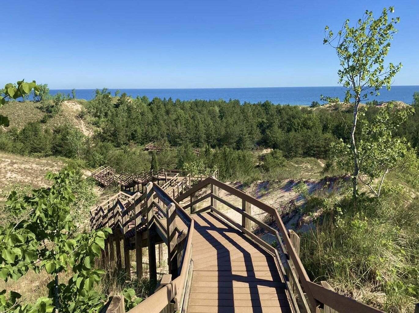6910 Ash Avenue Gary, IN 46403 - Photo 26 of 27 a view of a yard with a tree
