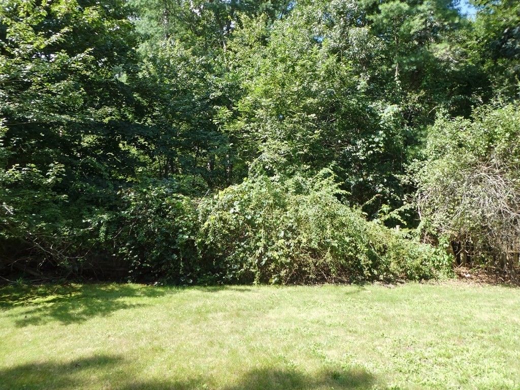 496 Wareham Street Middleboro, MA 02346 - Photo 11 of 34 a view of a yard with a trees
