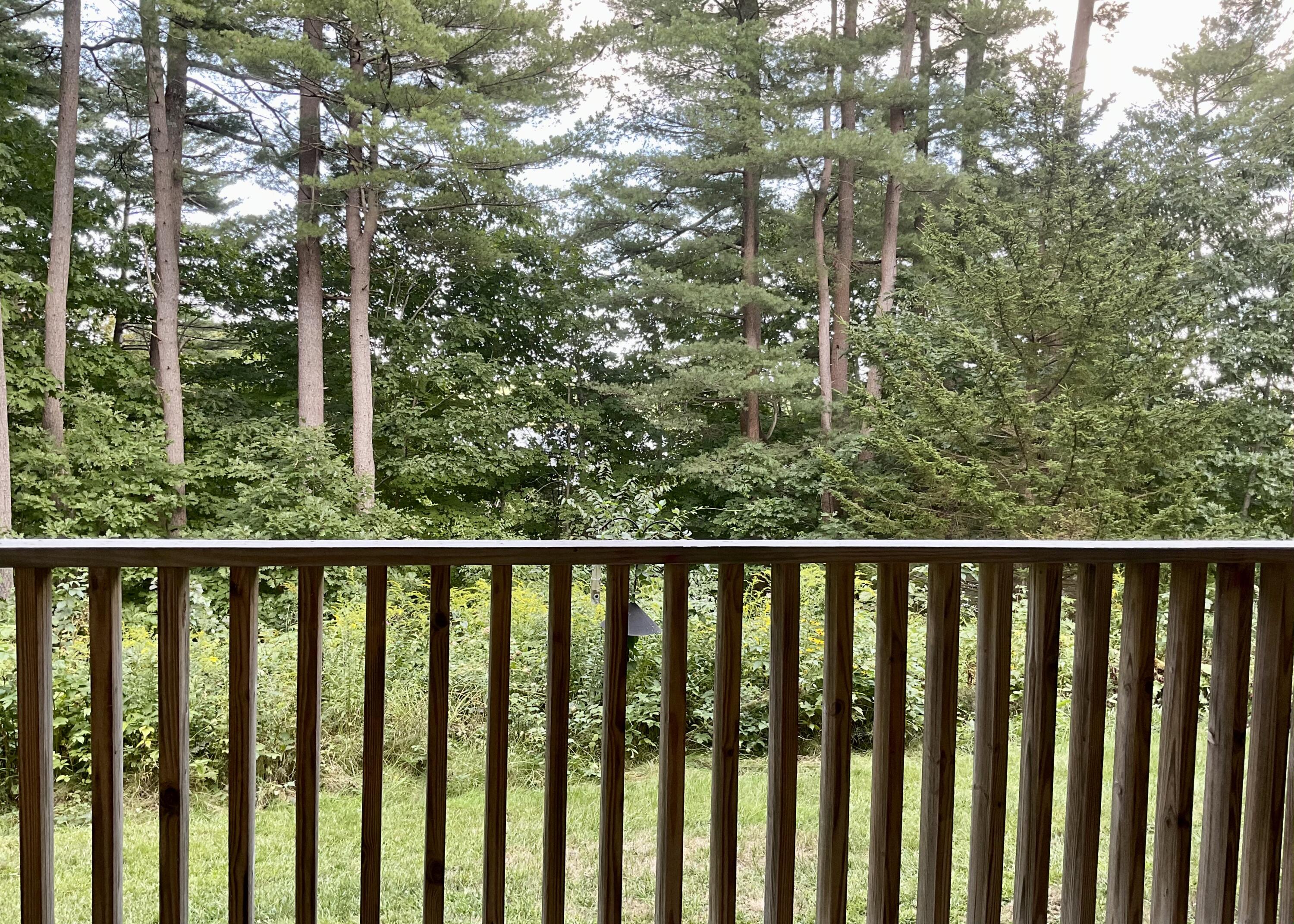 4 Schooner Ridge Road, Unit 2 Bath, ME 04530 - Photo 31 of 32 Wildflower Garden