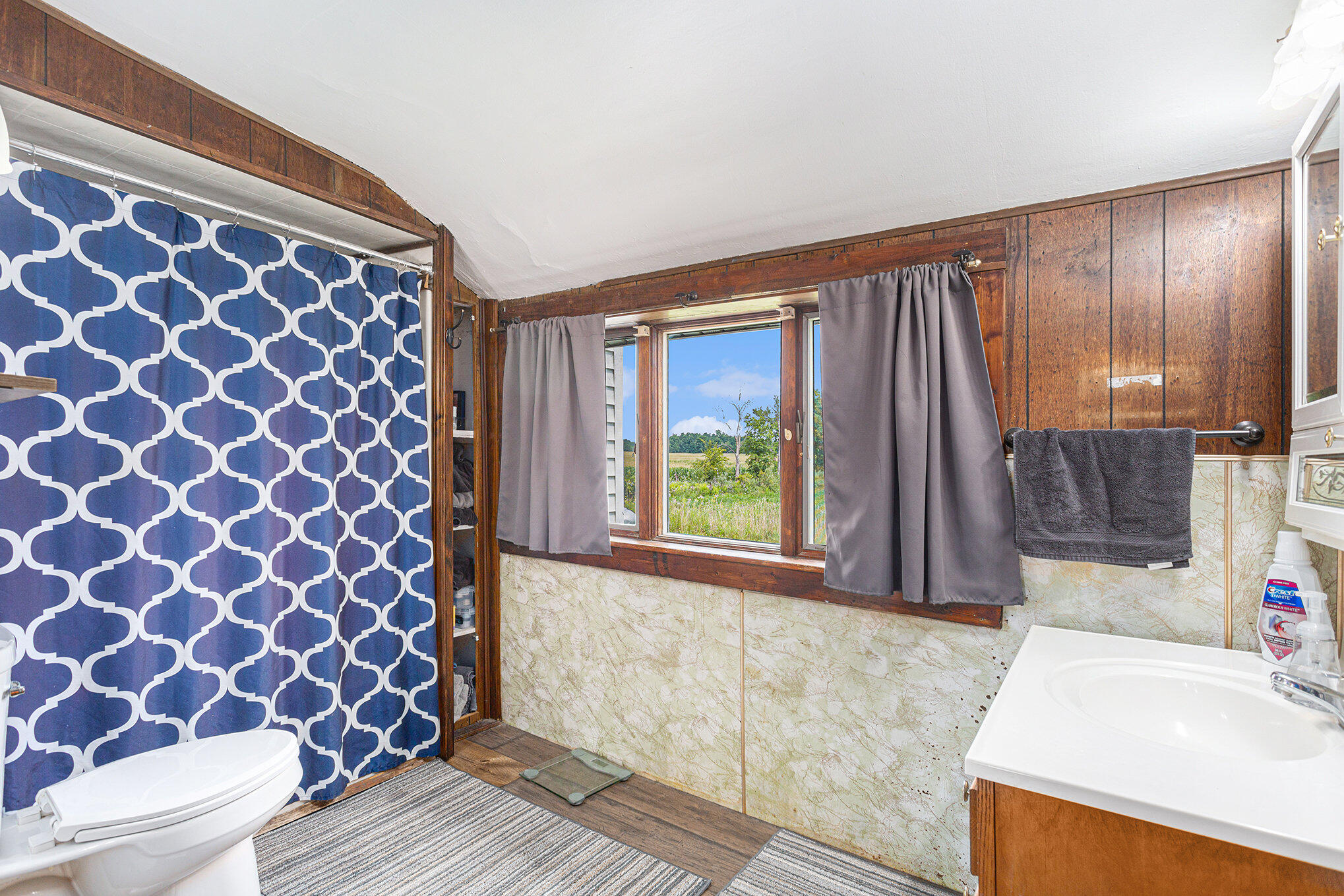 2136 Struble Road Muir, MI 48860 - Photo 17 of 30 017_8l9a7452