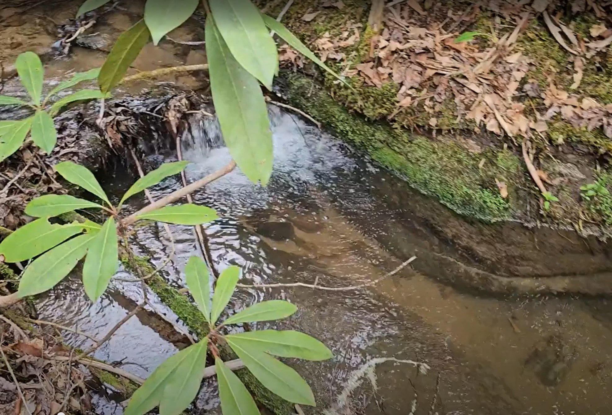 0 Falls Road Scaly Mountain, NC 28775 - Photo 2 of 23 Gallery Image 2