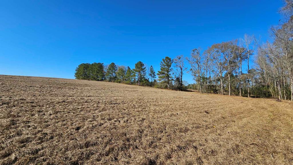 24.6-acres Grant Road Slocomb, AL 36375 - Photo 4 of 17
