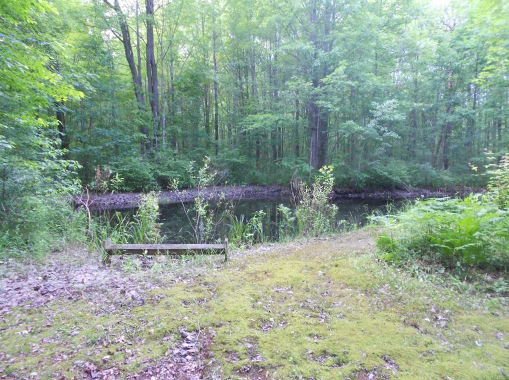 3140 South East County Line Road Shepherd, MI 48883 - Photo 31 of 38 1848769-30.JPG