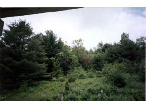 6469 Ryegate Road Ryegate, VT 05042 - Photo 5 of 5 Gallery Image 5