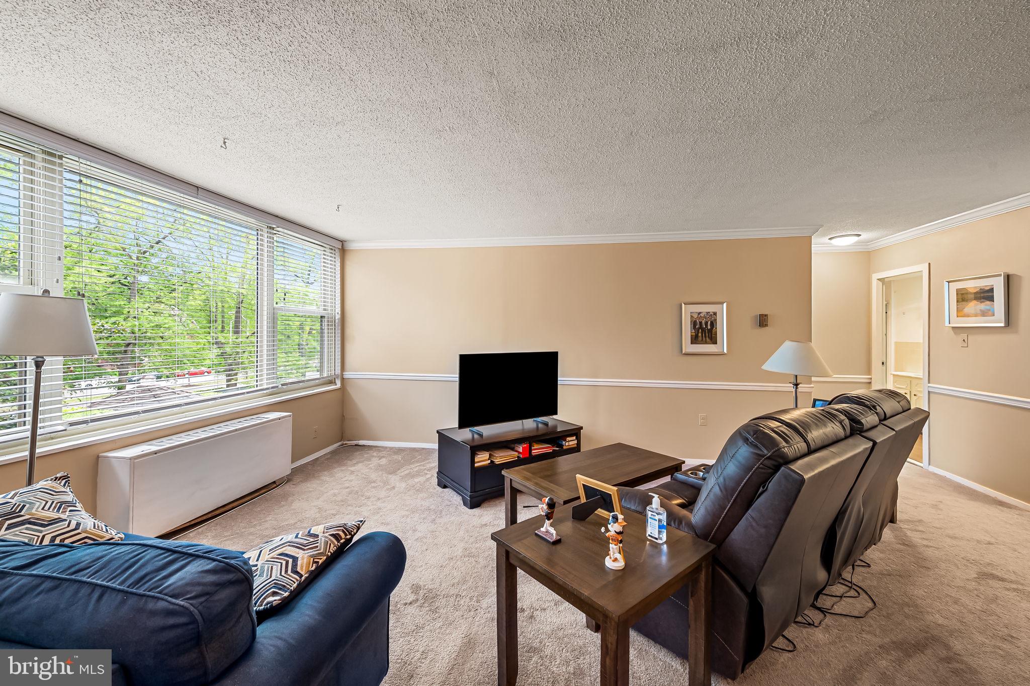 4401 Roland Avenue, Unit 110 Baltimore, MD 21210 - Photo 9 of 23 a living room with furniture and a flat screen tv