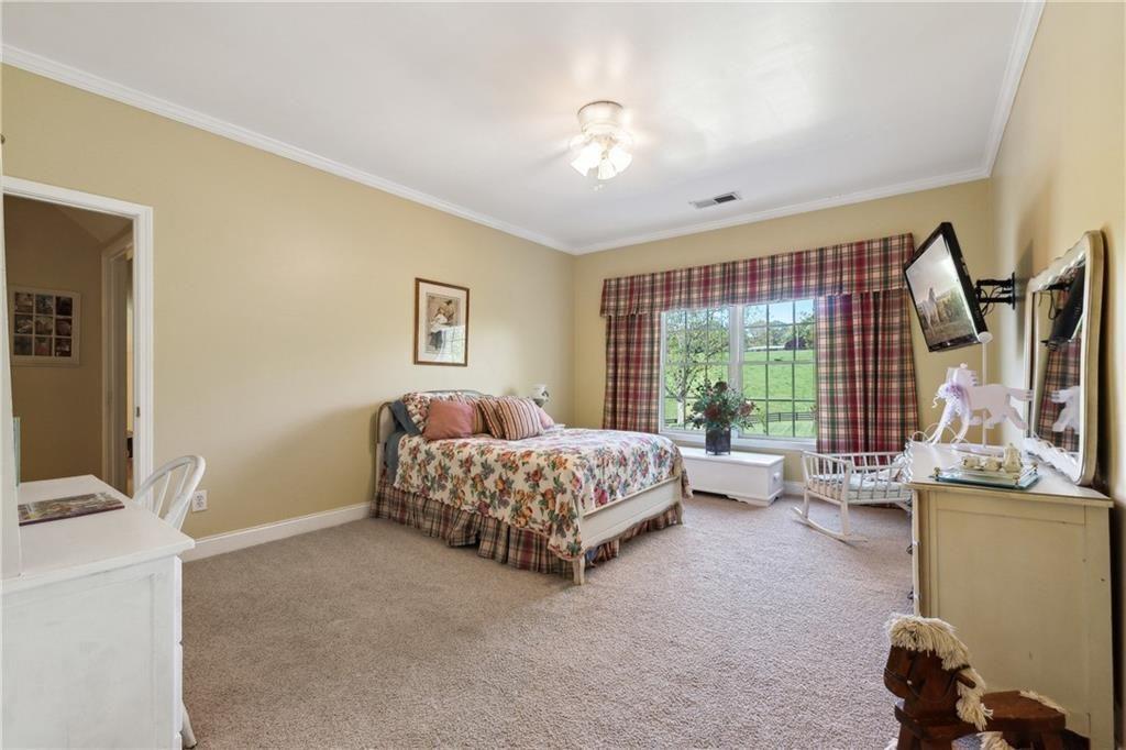 2230 Henry Scott Road Ball Ground, GA 30107 - Photo 49 of 97