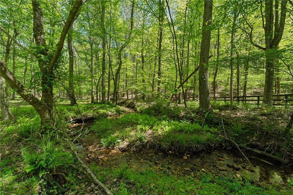 2230 Henry Scott Road Ball Ground, GA 30107 - Photo 80 of 97