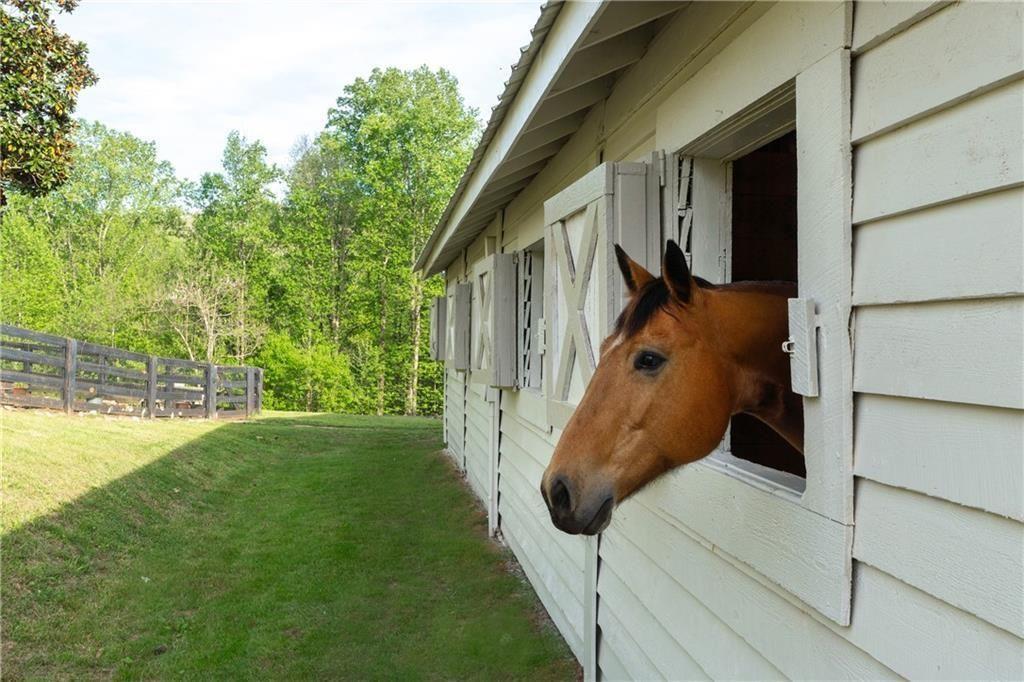 2230 Henry Scott Road Ball Ground, GA 30107 - Photo 9 of 97