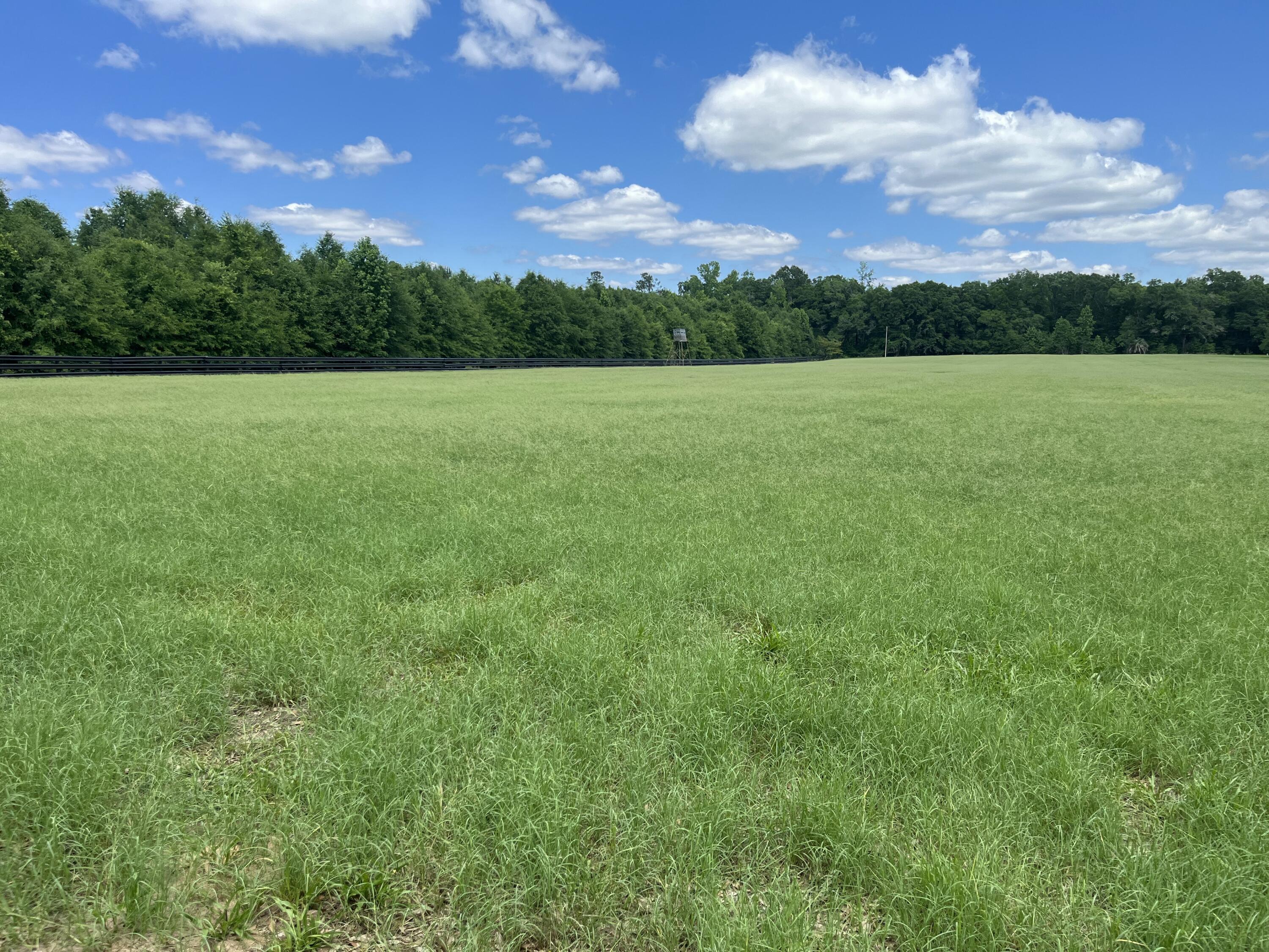 1114 Lott Bluff Road Blackville, SC 29817 - Photo 87 of 164