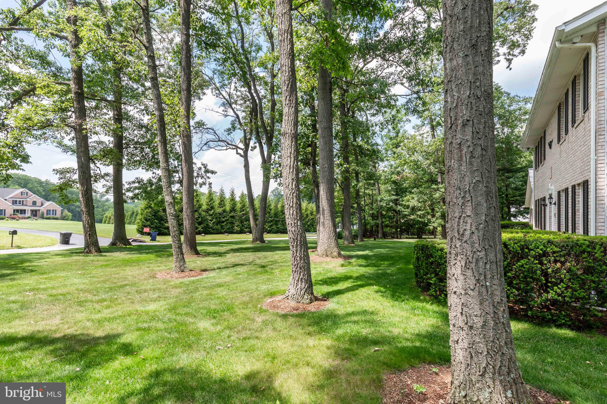 495 Leisters Church Road Westminster, MD 21157 - Photo 6 of 59 Front yard