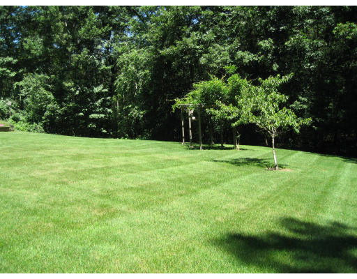 32 Deerfield Road Sherborn, MA 01770 - Photo 15 of 16 Gallery Image 15
