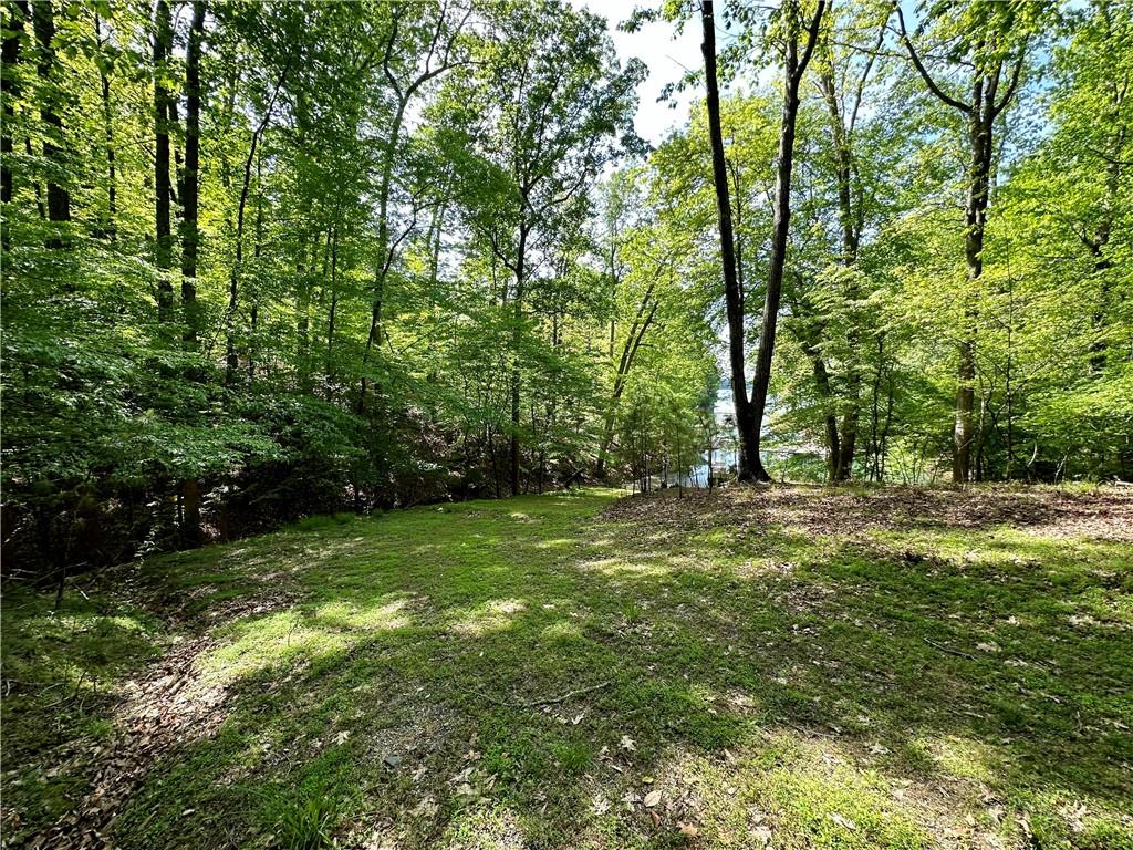 7745 Mill Cove Road Cumming, GA 30041 - Photo 3 of 5 a view of outdoor space with trees all around