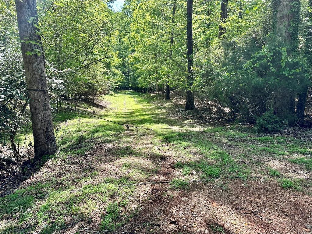 7745 Mill Cove Road Cumming, GA 30041 - Photo 4 of 5 a view of a trees with a yard