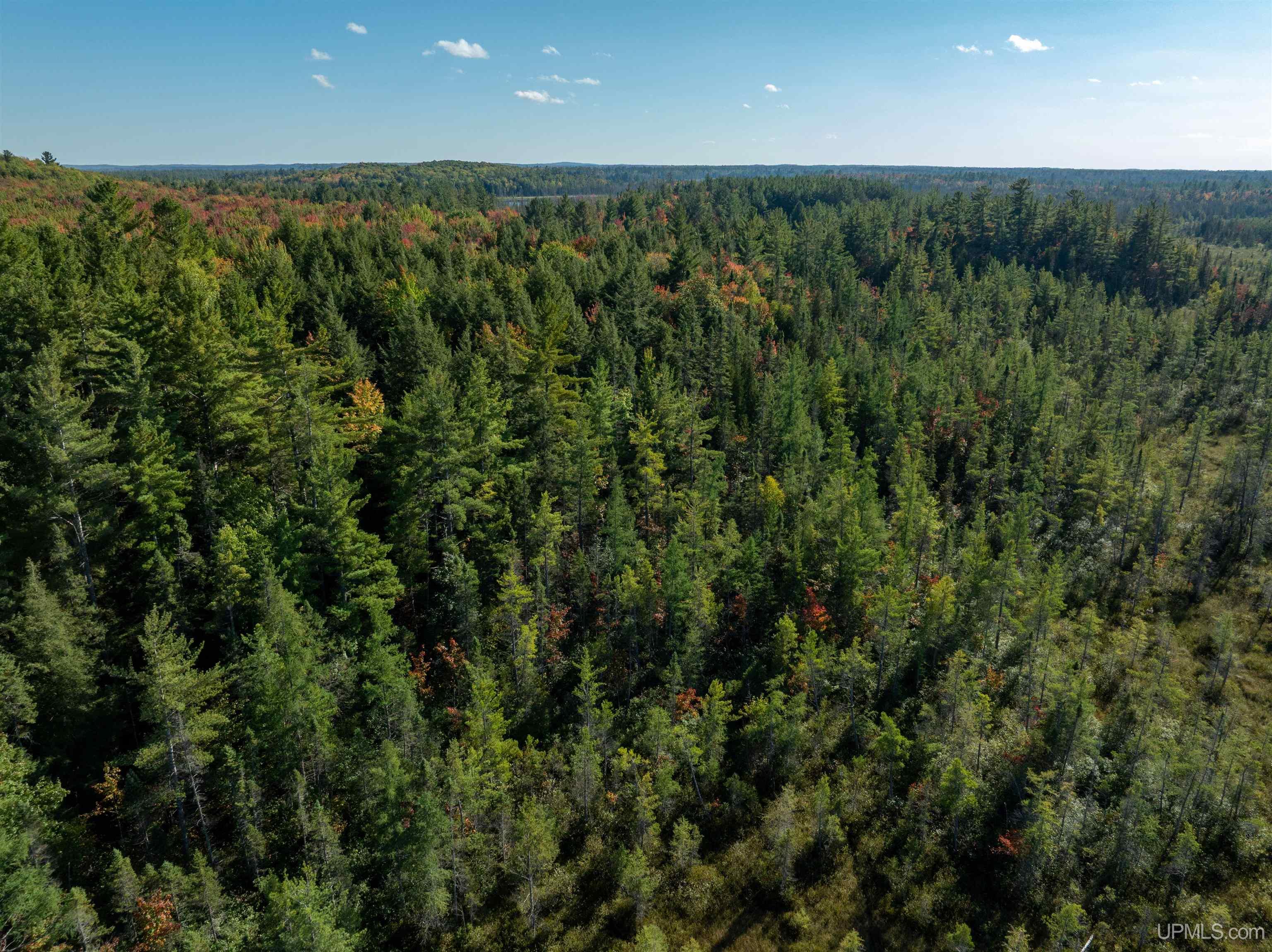 N1241 Old Plank Road Wetmore, MI 49895 - Photo 6 of 9