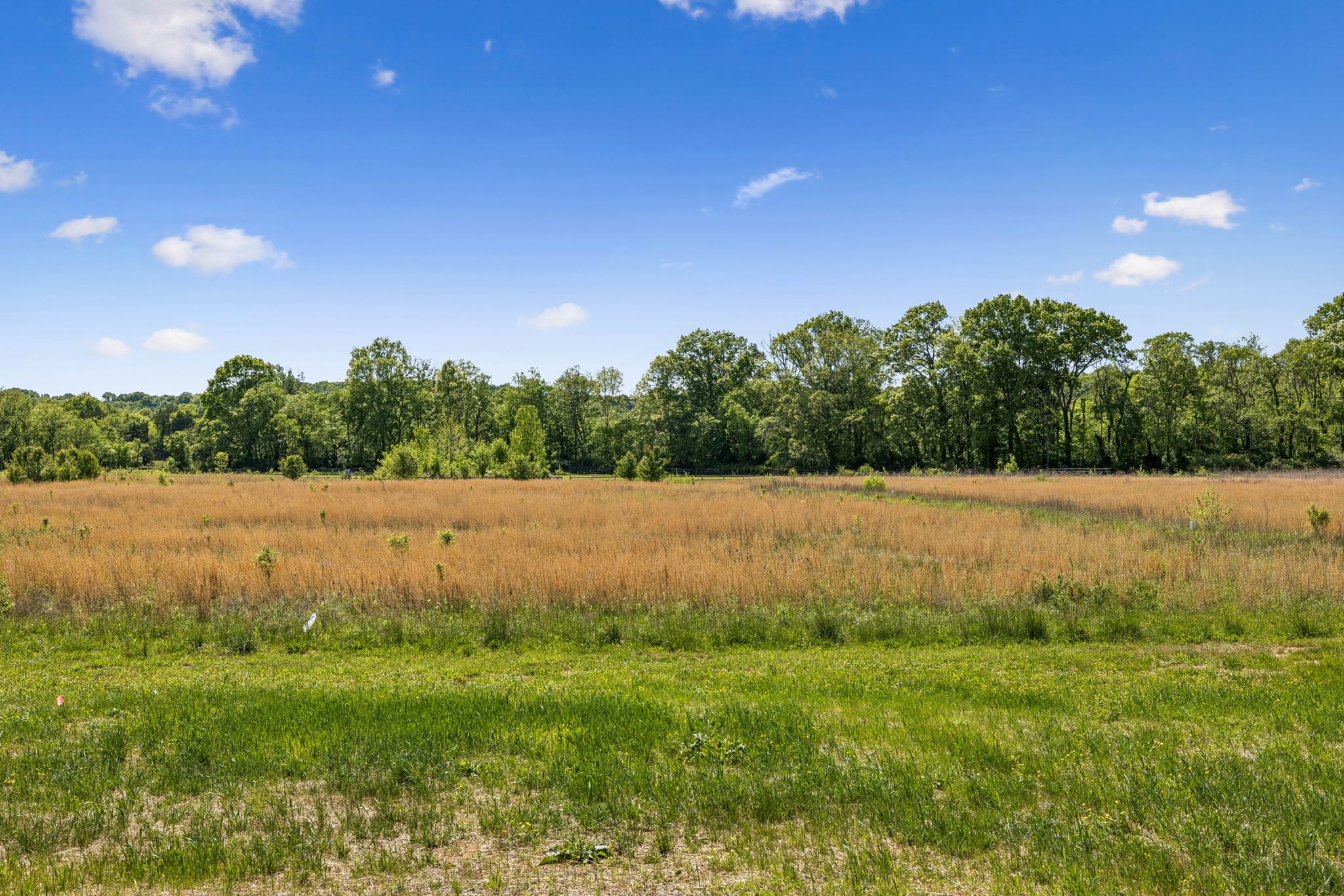 6223 Cedar Brooke Lane Spring Hill, TN 37174 - Photo 68 of 75