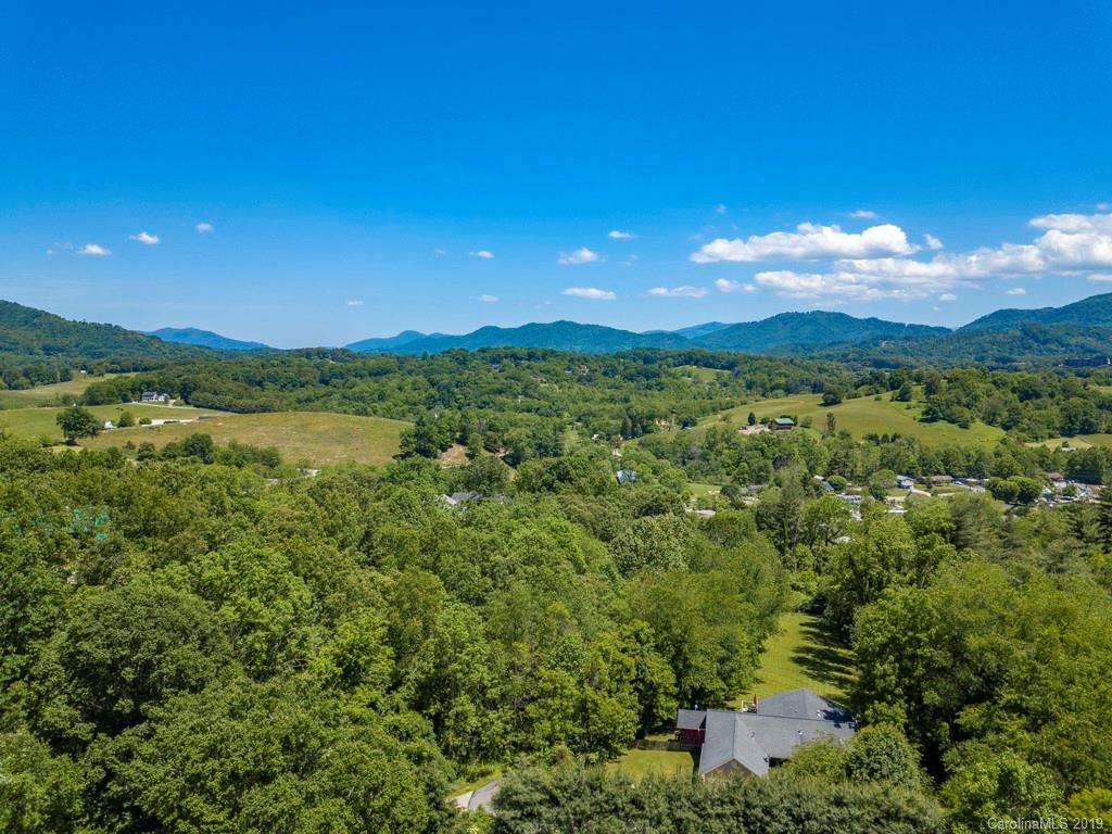 438 Sheep Pasture Road Waynesville, NC 28785 - Photo 3 of 36 Gallery Image 3