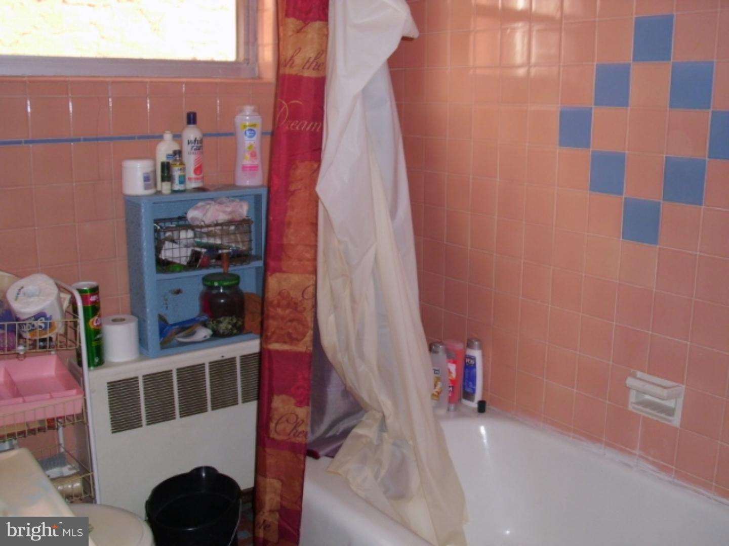 1044 Tree Street Philadelphia, PA 19148 - Photo 9 of 19 Bathroom