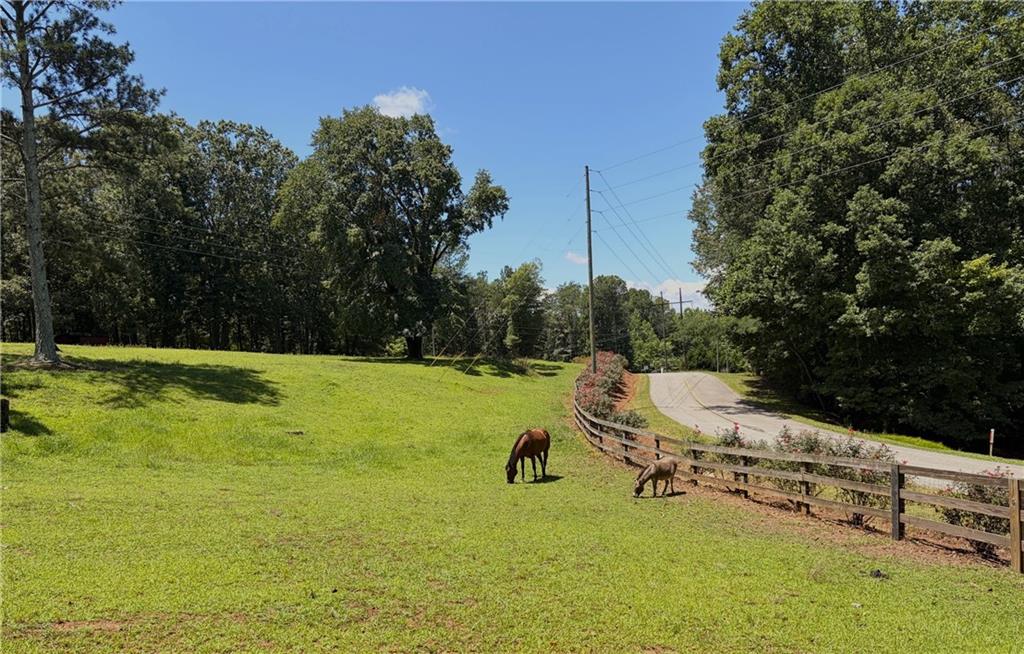 3204 Reavis Mountain Road Ball Ground, GA 30107 - Photo 73 of 76 Gallery Image 73