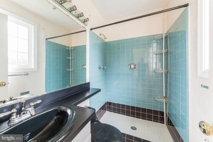 705 South Belgrade Road Silver Spring, MD 20902 - Photo 22 of 24 Interior (General)
