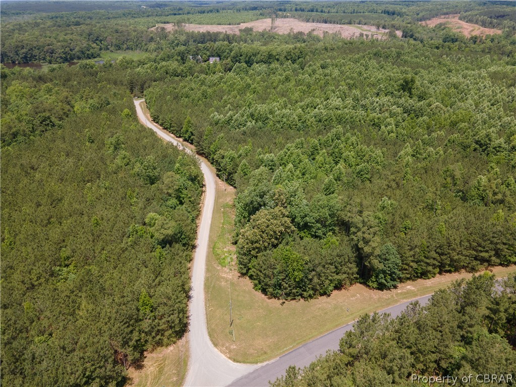 Lot 5 Avis Trail Lancaster, VA 22503 - Photo 5 of 9 a view of a forest with a sink