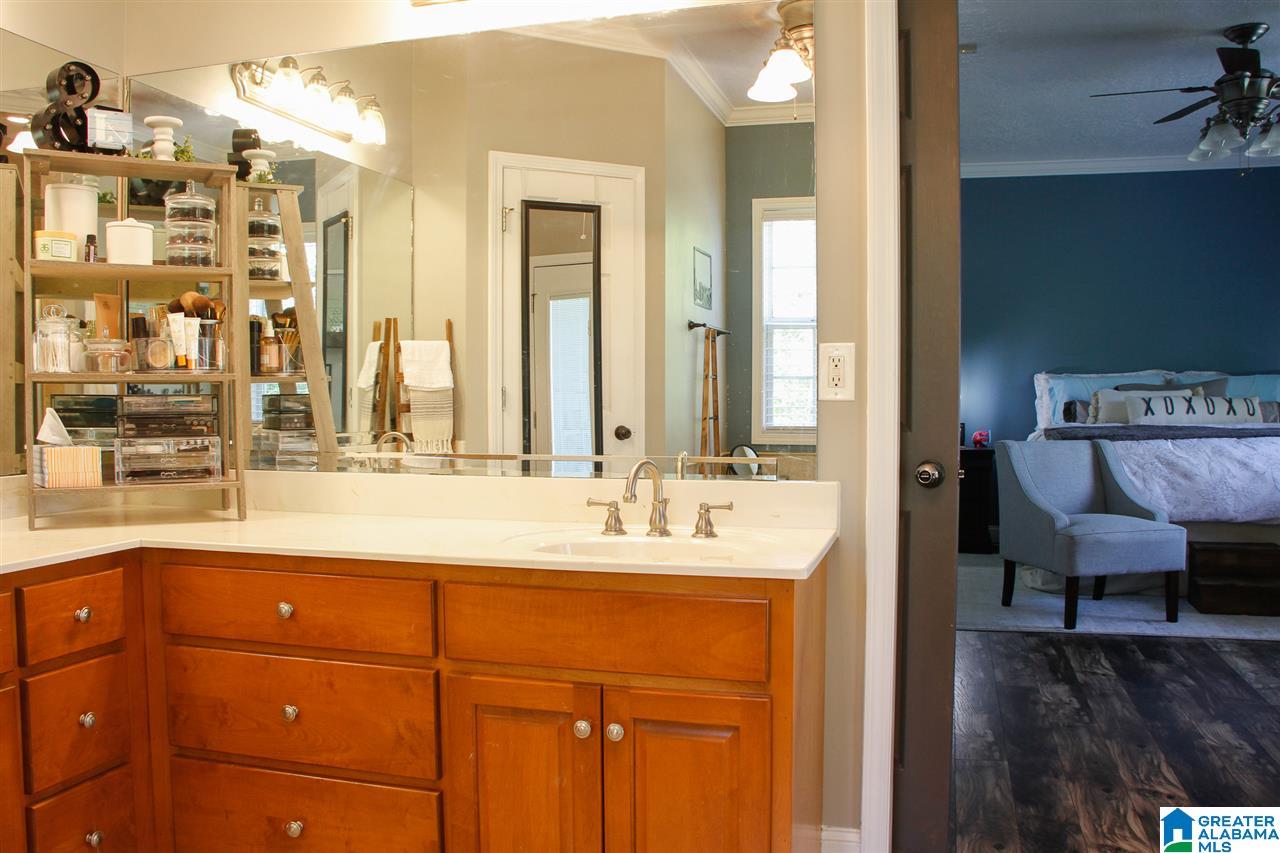 3218 Old Sulphur Springs Road Wellington, AL 36279 - Photo 32 of 38