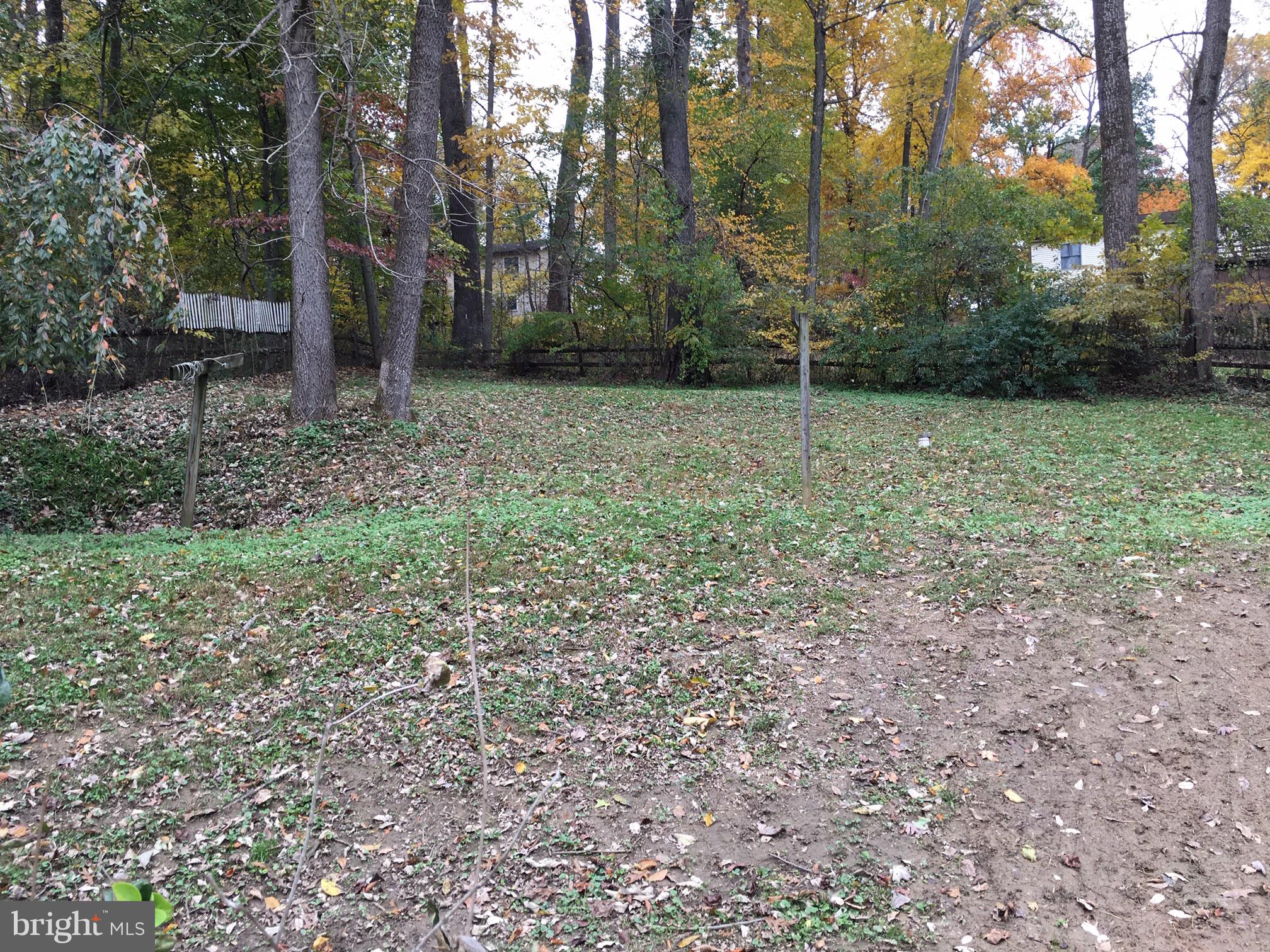 175 Codjus Drive Rising Sun, MD 21911 - Photo 4 of 4 Back Yard