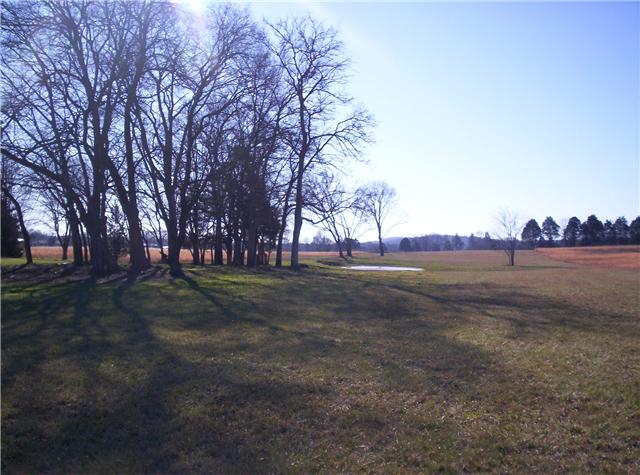 3 Eastover Road Lebanon, TN 37090 - Photo 3 of 8 Gallery Image 3