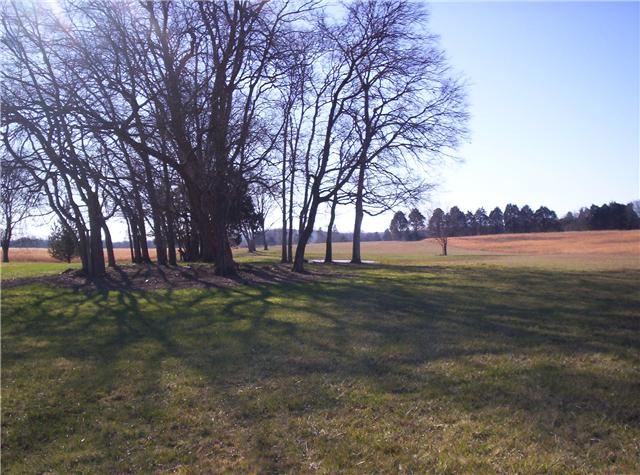 3 Eastover Road Lebanon, TN 37090 - Photo 4 of 8 Gallery Image 4