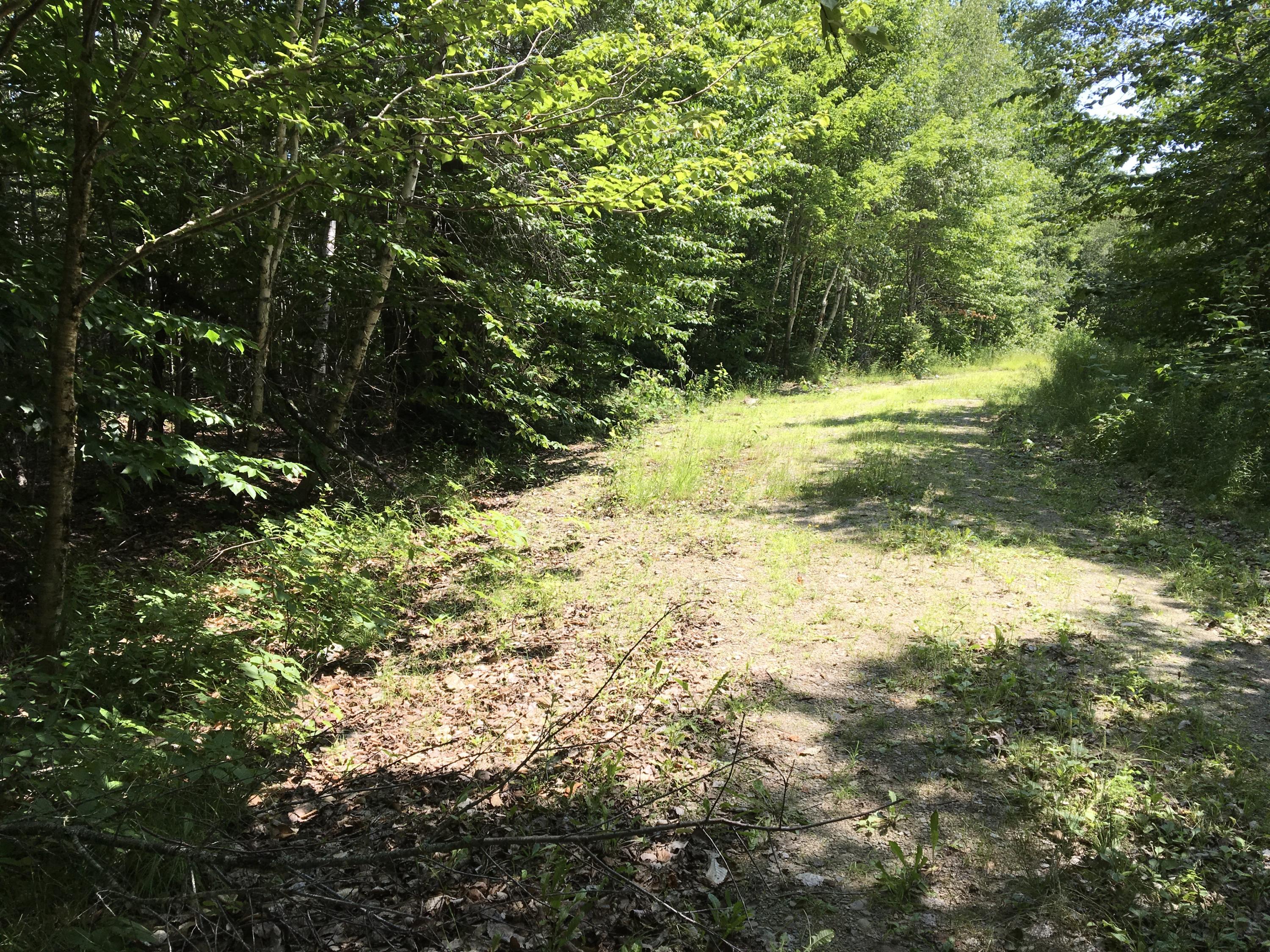 Lot 109 Freedom Way Springfield, ME 04487 - Photo 1 of 12 Photo Jul 26, 11 57 53 AM