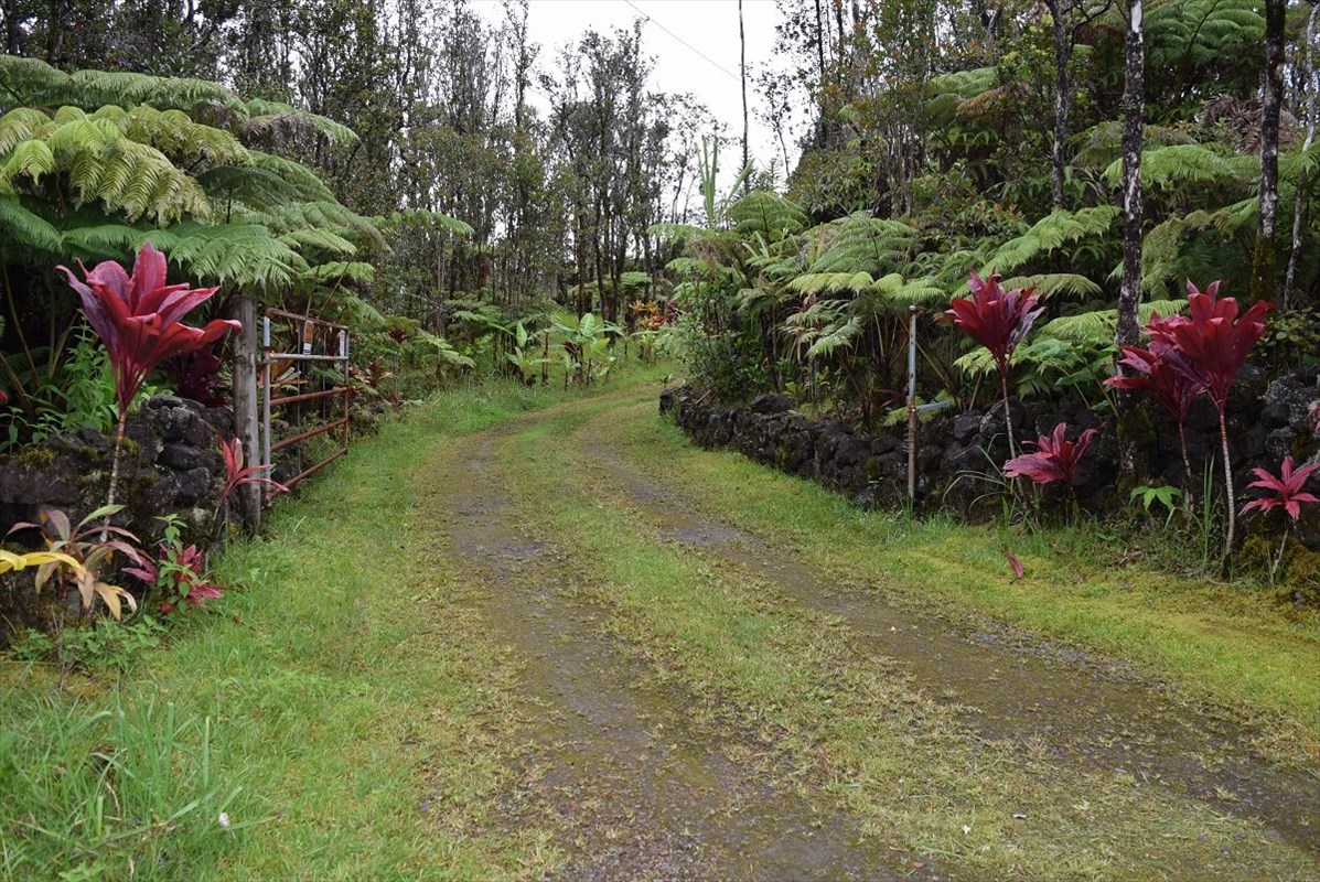 11-2855 Kaleponi Road Mountain View, HI 96771 - Photo 17 of 19 a view of a garden