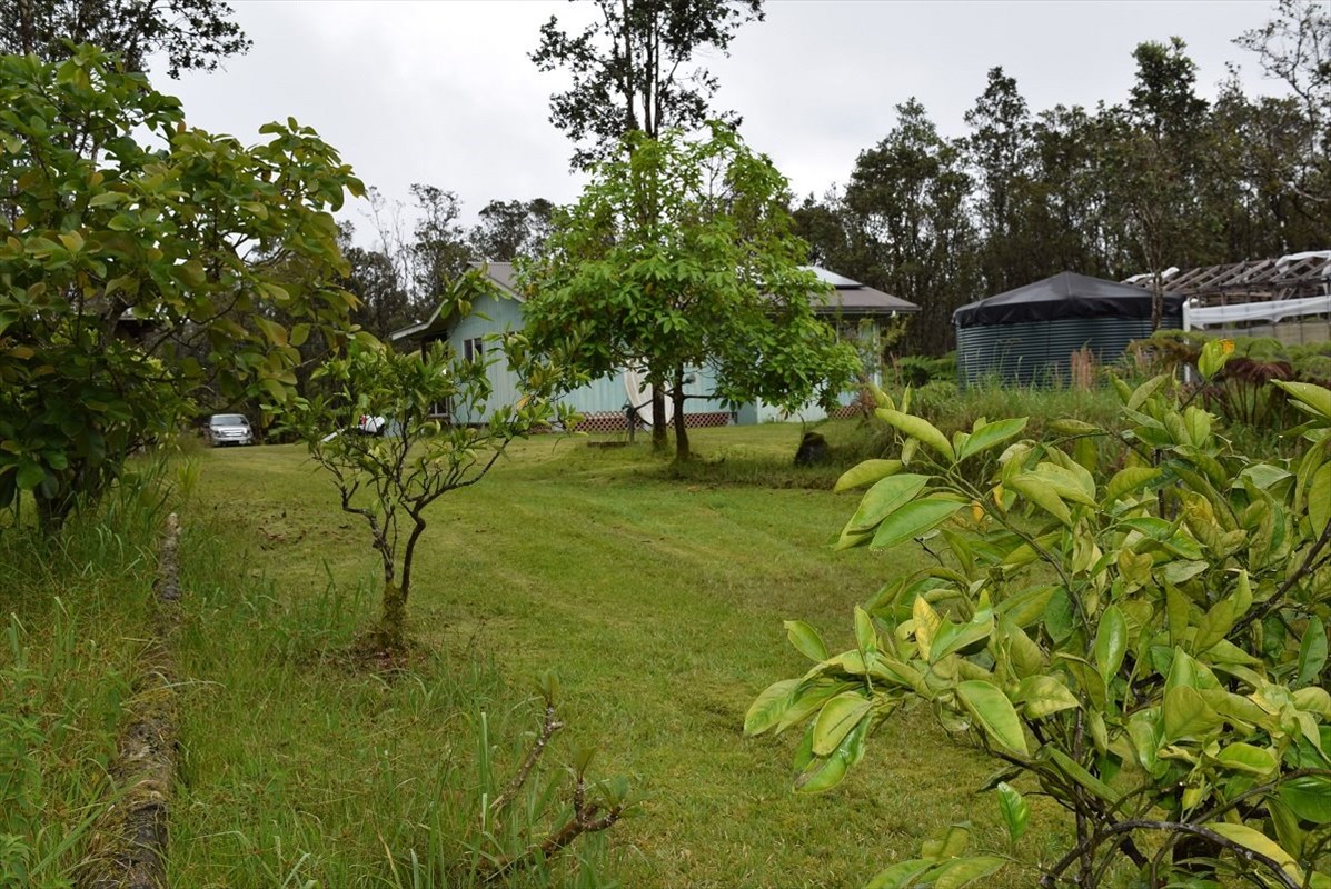11-2855 Kaleponi Road Mountain View, HI 96771 - Photo 18 of 19 a backyard of a house with lots of green space