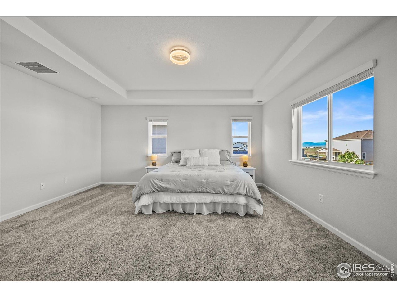 950 Rustling Street Windsor, CO 80550 - Photo 21 of 49 Gallery Image 21