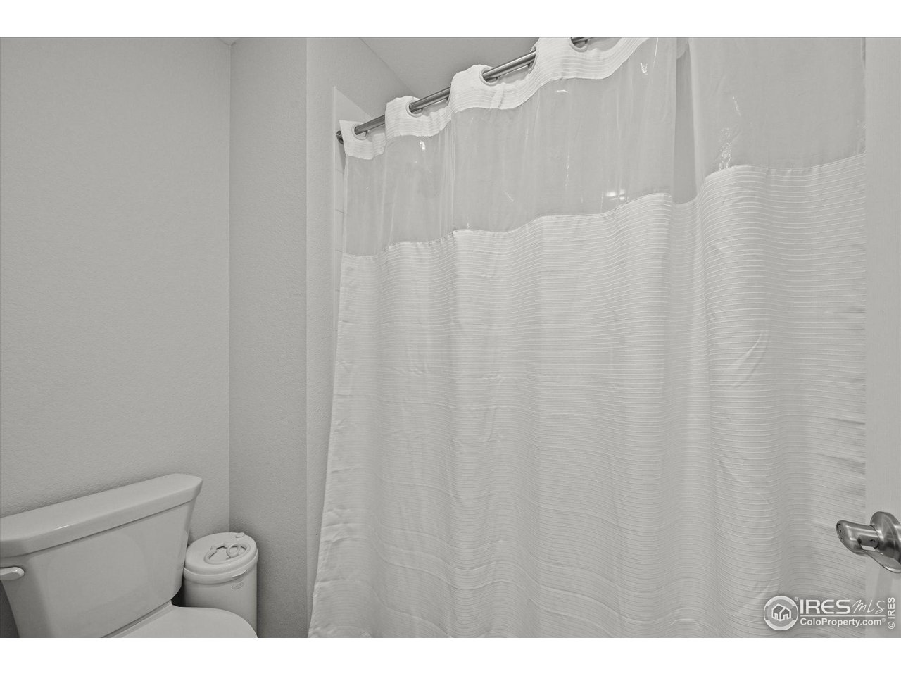 950 Rustling Street Windsor, CO 80550 - Photo 35 of 49 Gallery Image 35
