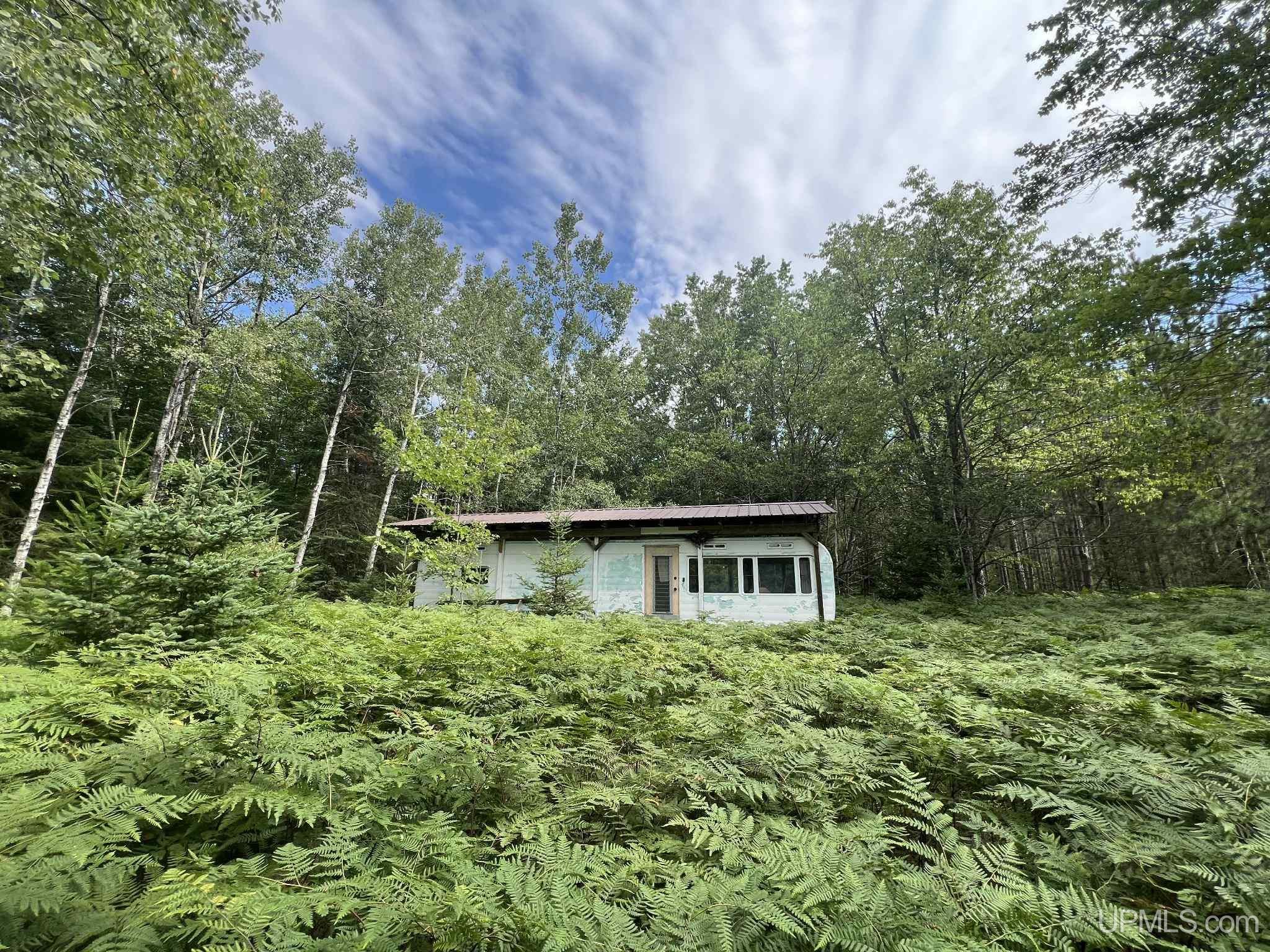 Lake Street Germfask, MI 49836 - Photo 10 of 36