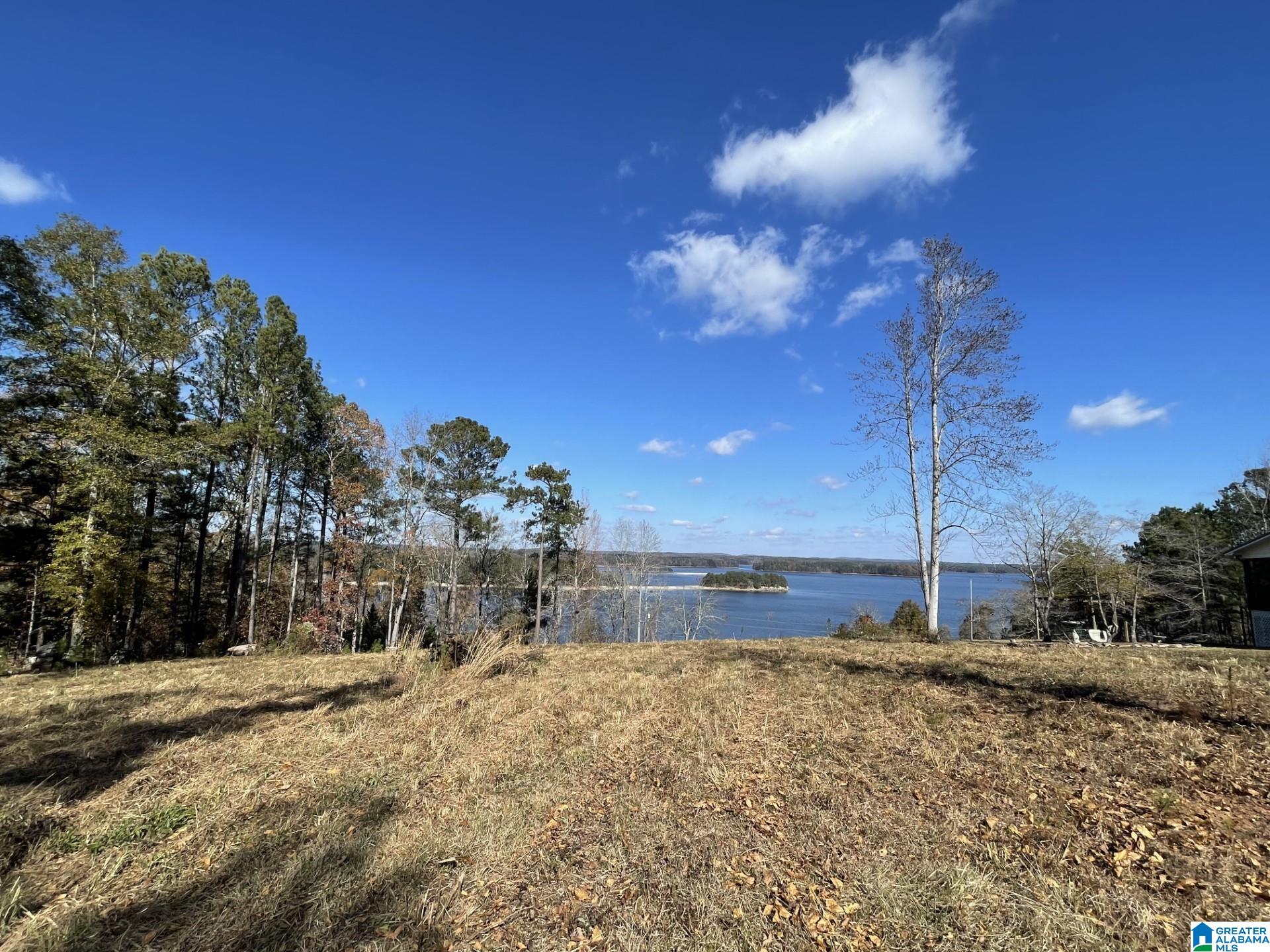 Overlook Drive, Unit 3 Lineville, AL 36266 - Photo 3 of 10