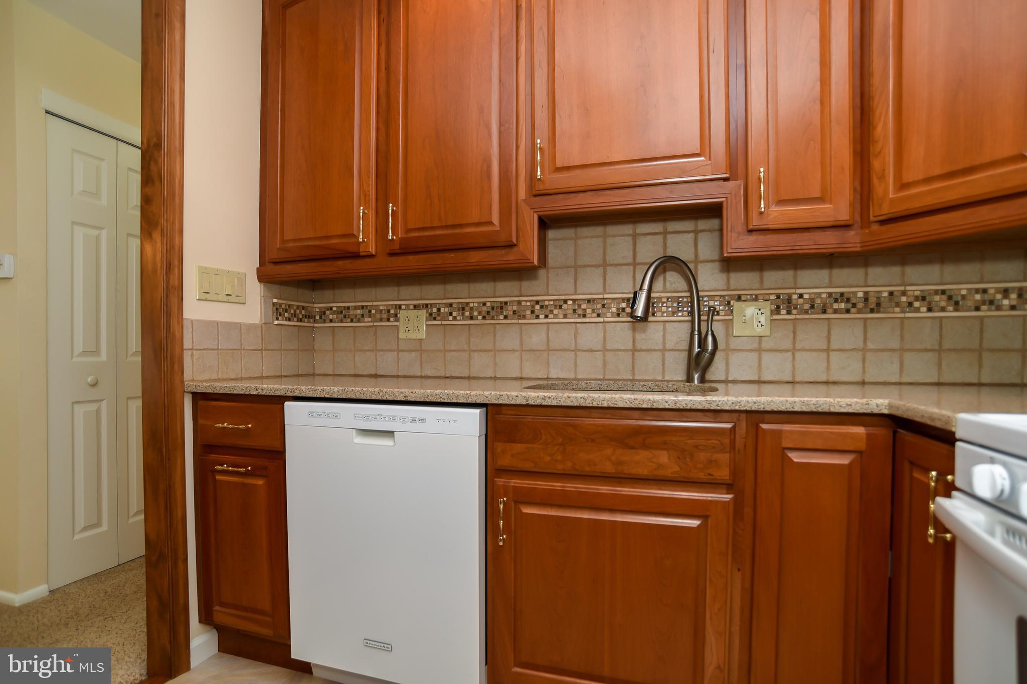 211 Goodford Road Philadelphia, PA 19154 - Photo 10 of 33 Under Mount Lighting/Dishwasher