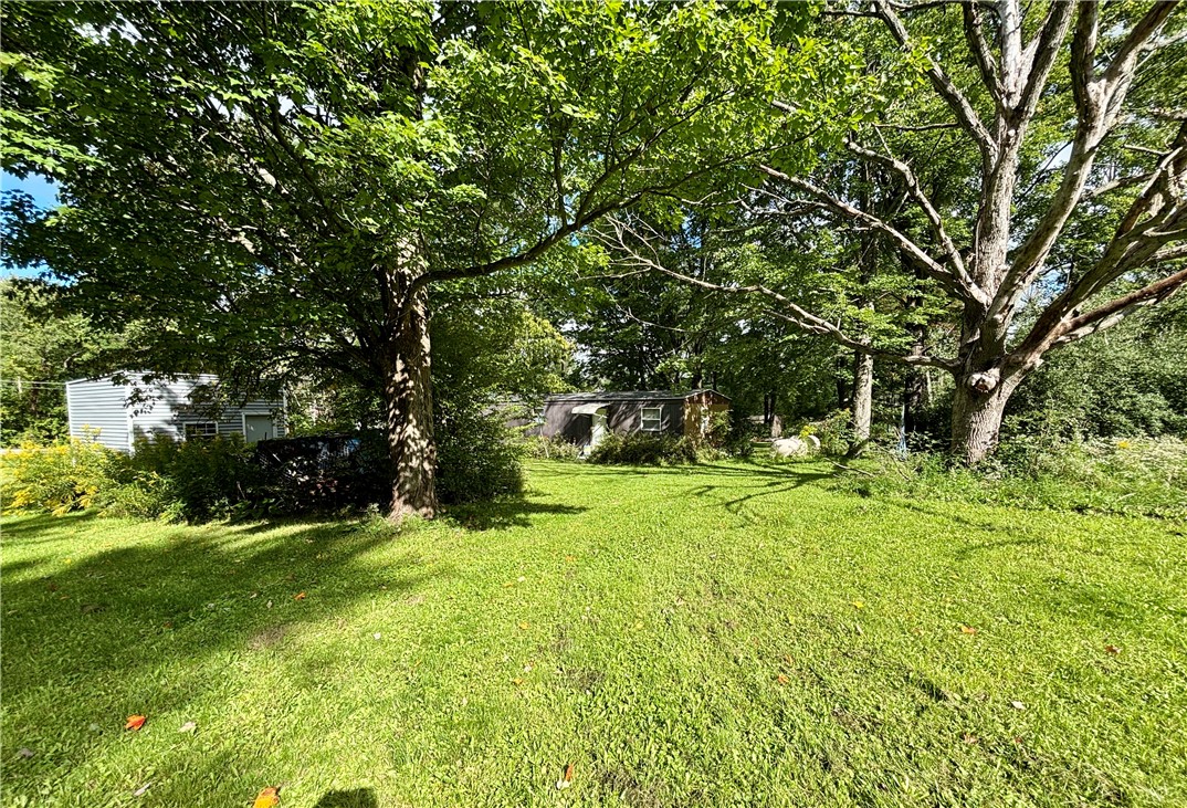 7601 Reeds Corners Road Sparta, NY 14437 - Photo 18 of 25 Gallery Image 18