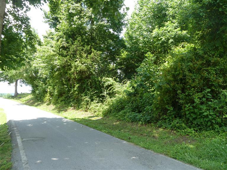 11111 Hawk Creek Road London, KY 40741 - Photo 5 of 6 Photo 5