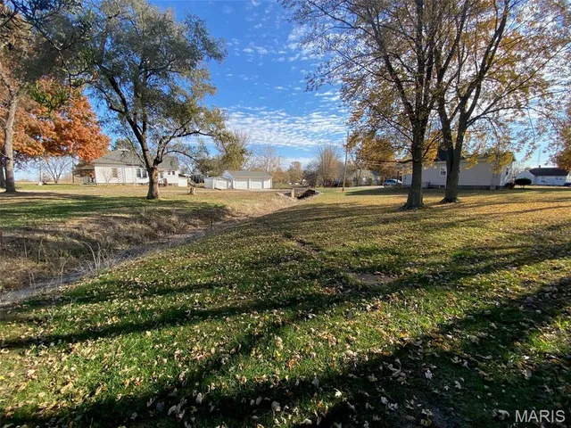 $12,500 | 655 North Talmadge Street, Witt, IL 62094